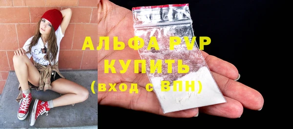 ПСИЛОЦИБИНОВЫЕ ГРИБЫ Белокуриха