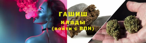 ПСИЛОЦИБИНОВЫЕ ГРИБЫ Белокуриха
