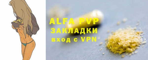 ПСИЛОЦИБИНОВЫЕ ГРИБЫ Белокуриха
