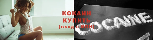 бошки Беломорск