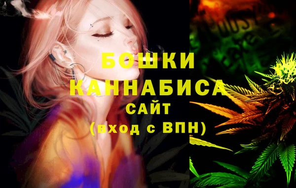 ПСИЛОЦИБИНОВЫЕ ГРИБЫ Белокуриха