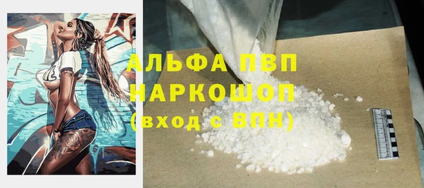 ПСИЛОЦИБИНОВЫЕ ГРИБЫ Белокуриха